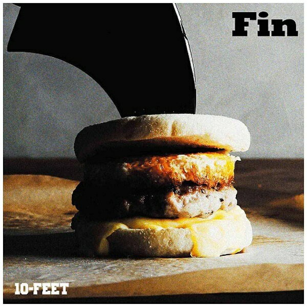 ユニバーサルミュージック｜UNIVERSAL MUSIC 10-FEET/Fin 完全生産限定盤 【CD】 【代金引換配送不可】