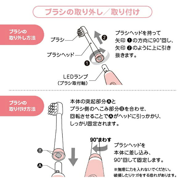 ジェイシーティ｜JCT AORA(アオラ) キッズ用取替えブラシ 2本セット SG038【access...