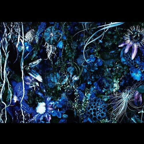 ユニバーサルミュージック SUGIZO/ONENESS M 初回限定盤 【CD】 【代金引換配送不可】