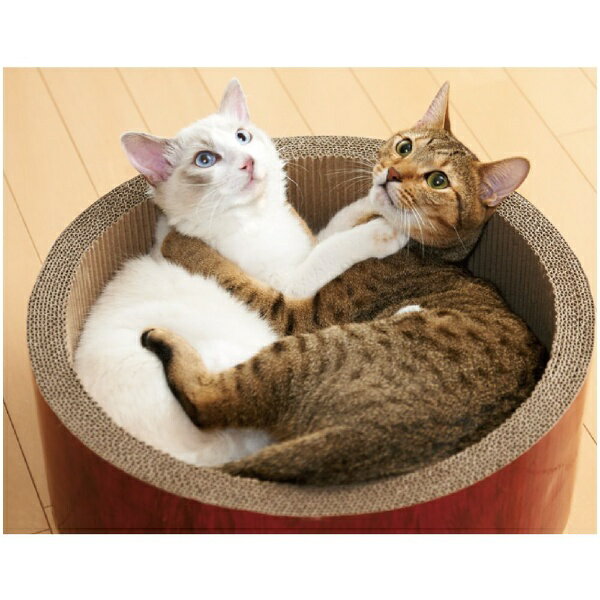 �����९�ꥨ���ġ�AIM create ���ꥬ�ꥵ������ ������å��㡼 �ӥå�