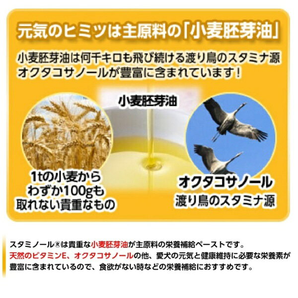 ���������ڥåȡ�earth pet ������ �����ߥΡ��뿩�� 100g
