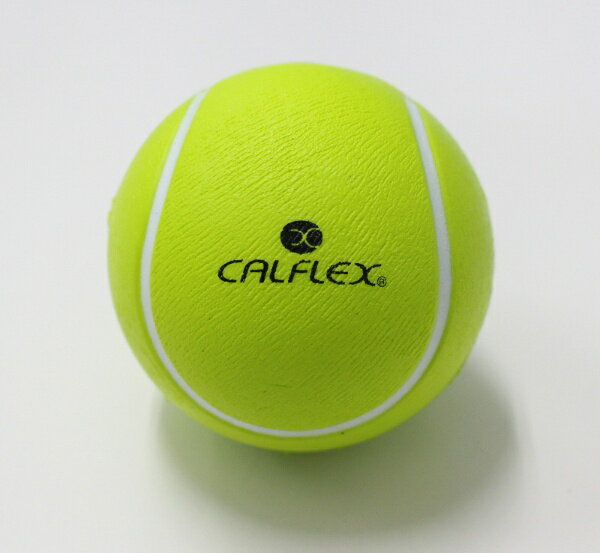 �����饤�ǰס�SAKURAI KIDS�ƥ˥��ܡ��� 2����(ľ�¡���63mm�� CT-2SP