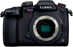 ѥʥ˥åPanasonic LUMIX GH5S ߥ顼쥹㥫 ֥å DC-GH5S-K [ܥǥñ]