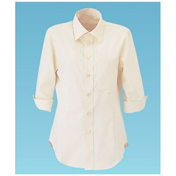 サーヴォ｜SERVO 男女兼用ショップコートET-5732 S (バニラ) ＜SSY2202＞[SSY2202]