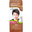 マンダム|mandom LUCIDO(ルシード) ワンプッシュケア カラー ライトブラウン(医薬部外品)(100g)〔カラーリング剤〕