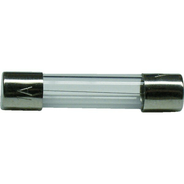 ���������SAKAZUME ELECTRIC ���饹�ɥҥ塼����GF���꡼����AC250V��1A��2���� GF-1A