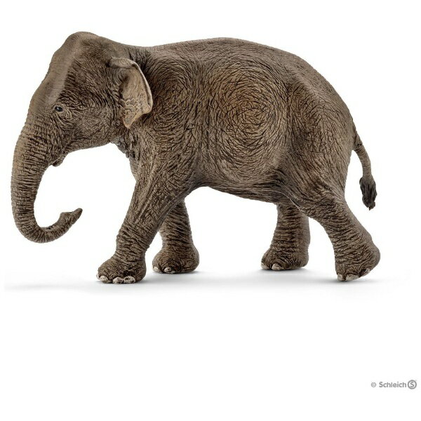 シュライヒジャパン｜Schleich シュライヒ 14753 インド象（メス）