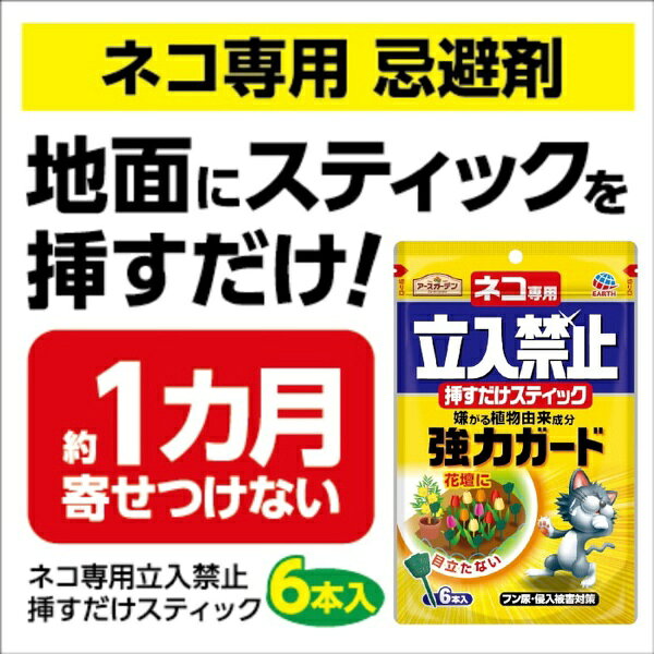 ������������Earth �����������ǥ� �ͥ����� Ω���ػ� �ޤ����� ���ƥ��å� ��6�ܡ� �̴���ޡ�����ޡ�