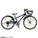 【送料無料】 ブリヂストン 22型 子供用自転車 クロスファ...