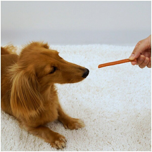 �ɥ����ޥ��DoggyMan �ɥ������ʥå� �Х�塼 ���եȥ����ߥС� 80g