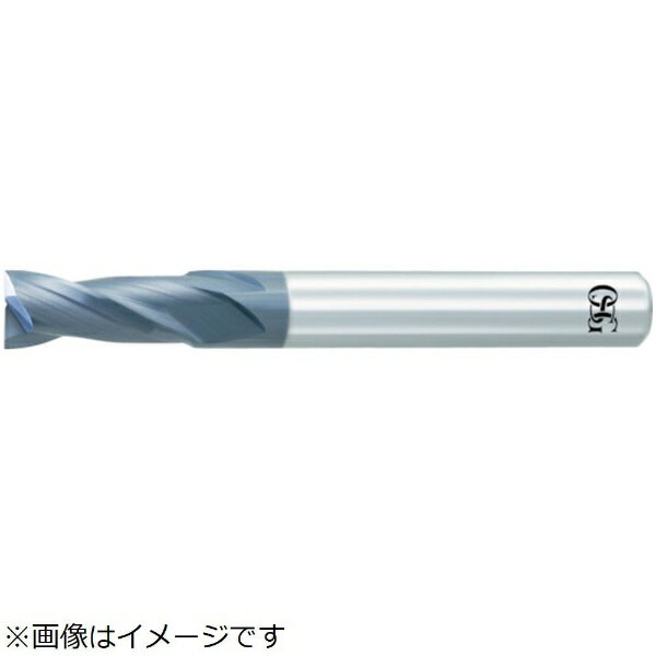 OSG Ķťɥߥ롡WXL2ϡ20DĹ3182100 WXL-2D-DE-10