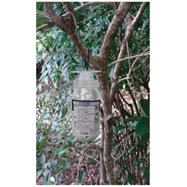 SHIMADA｜シマダ SHIMADA　捕獲器　スズメバチ誘引捕獲器