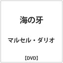 アイ・ヴィー・シー｜IVC 海の牙 【DVD】 【代金引換配送不可】