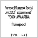 A~[Y\tgG^eCgbAMUSE flumpool/flumpool Special Live 2013 gexperienceath YOKOHAMA ARENA yu[C \tgz yzsz