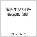 2017シーズン、新たな船出を切った横浜F・マリノス