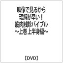 筋肉触診バイブル 上半身編