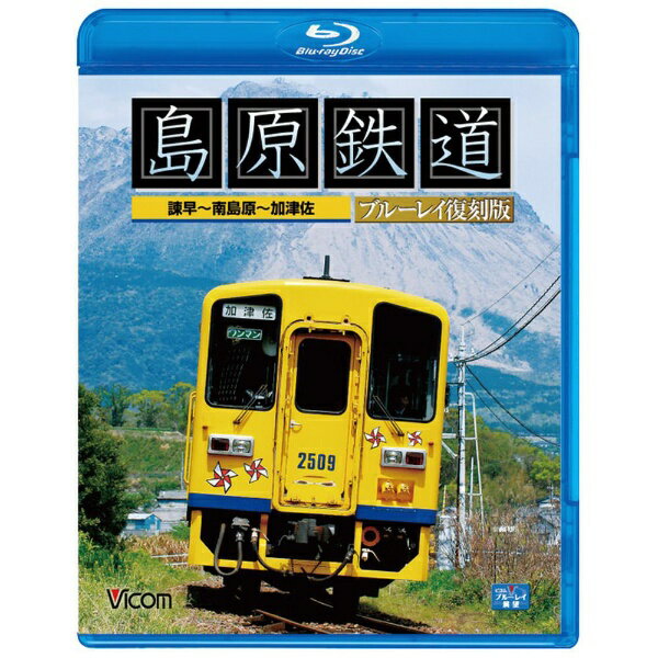 �ӥ����Vicom �ӥ��� �֥롼�쥤Ÿ˾���縶Ŵƻ �֥롼�쥤������ ��������縶�����ź��ڥ֥롼�쥤�� �������������Բġ�