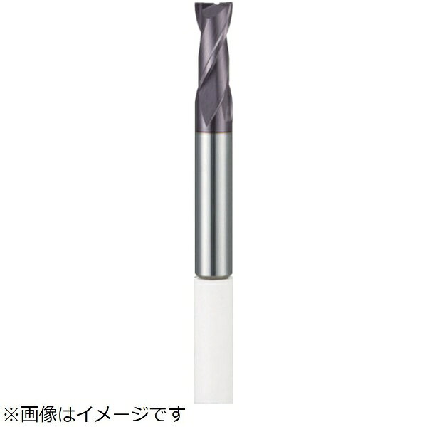 グーリングジャパン｜GUHRING グーリング　ECOエンドミル2枚刃　6mm