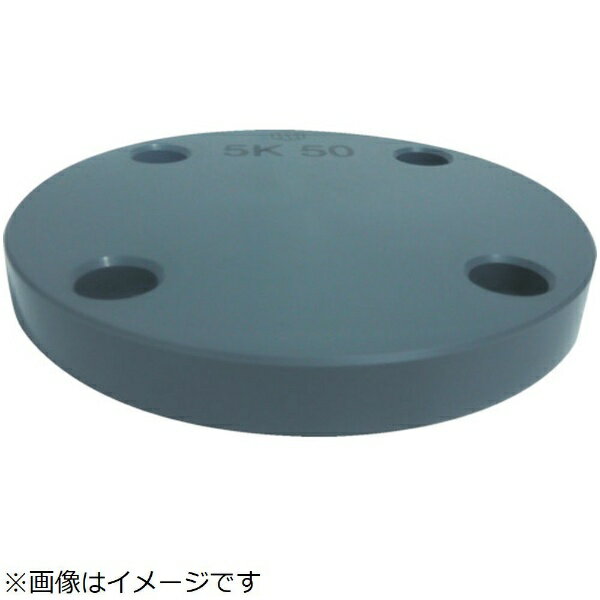 積水化学工業｜SEKISUI エスロン　板フランジSB型　25　JIS5K　PVC