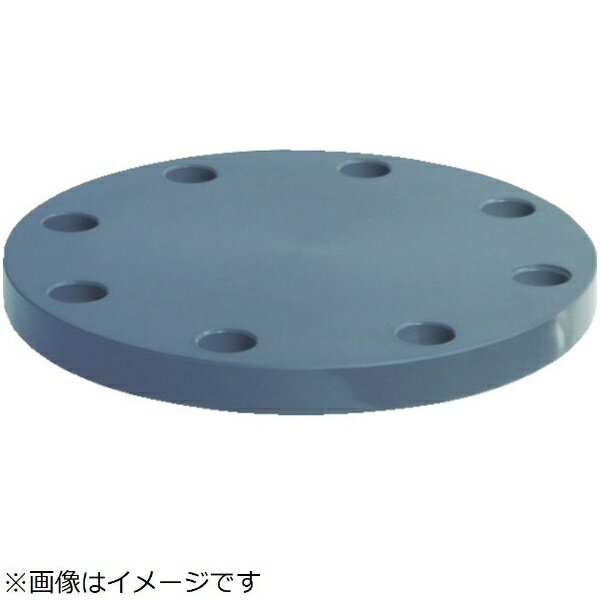 積水化学工業｜SEKISUI エスロン　板フランジSB型　50　JIS10K　PVC