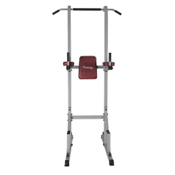 ダイコー｜DAIKOU 家庭用ぶらさがり健康器 DK-7509【キャンセル・返品不可】 【メーカー直送・代金引換不可・時間指定・返品不可】