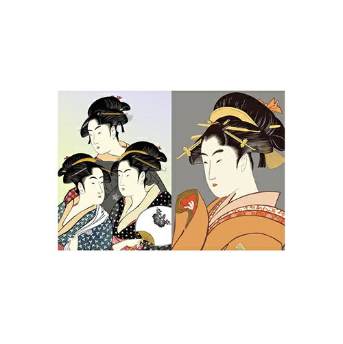 SEKISEI СΡ A5 Ͳ PAKKUN (ѥå) PKN-739-00