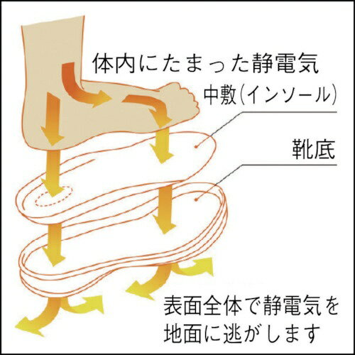 ミドリ安全｜MIDORI ANZEN ミドリ安全 静電 超軽量 樹脂先芯入スニーカー 25.5cm