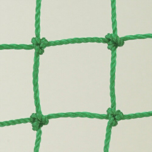 ダイオ化成｜Dio Chemicals Dio　ホームネット　25mm角目　2m×3m　緑　260053