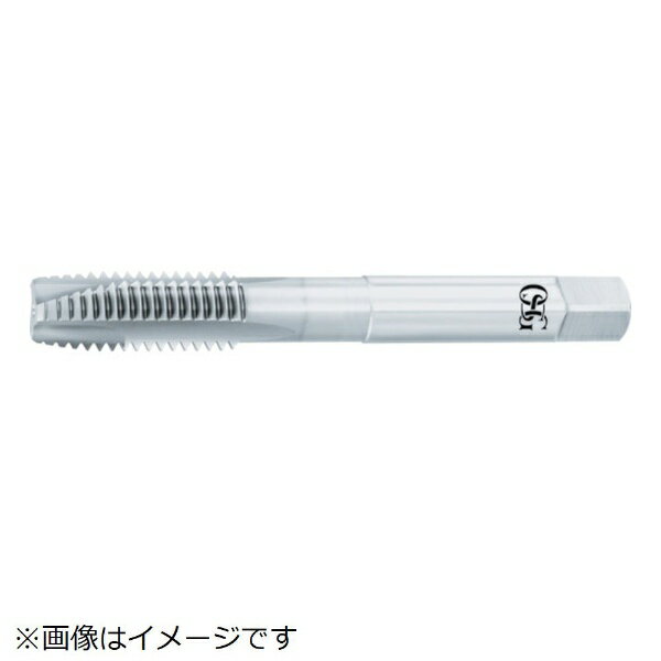 オーエスジー｜OSG WHR−NI−POT　3901222 WHR-NI-POT-STD-M8X1.25(4.0)