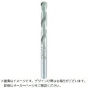 ALPEN|アルペン ALPEN ロングライフ 6.4×100mm ストレートシャンク 11700640