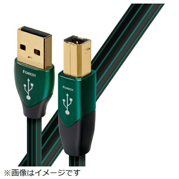 I[fBINGXgbaudioquest USBP[u USB2/FOR/0.75M