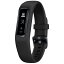 GARMINåߥ 010-01995-60 ֥ü 쥮顼 vivosmart 4 Black Slate[100199560]פ򸫤