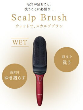 コイズミ　KOIZUMI KBE-3500-N スカルプ＆リセットブラシ RESET BRUSH ゴールド