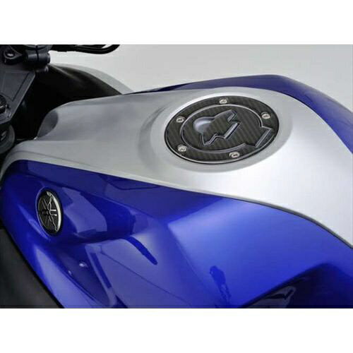 �f�C�g�i�bDAYTONA 98640 �t���[�G���L���b�v�p�b�h(�|�b�e�B���O�^�C�v)�@YAMAHA2