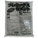 家庭化学工業｜Kateikagakukogyo プレミックスセメント 4kg グレー