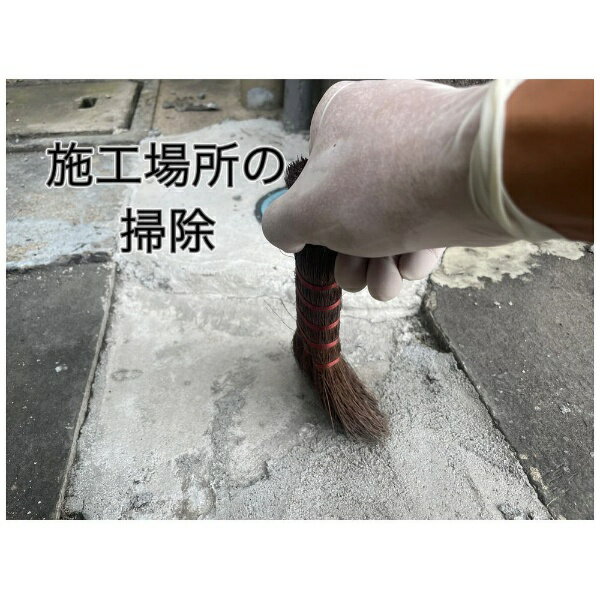 �������ع��ȡ�Kateikagakukogyo ������ 1.3kg �ۥ磻��