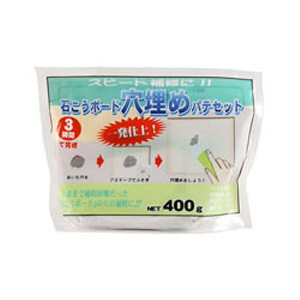 Repair Agents - 家庭化学工業｜Kateikagakukogyo 石こうボード穴埋パテ 400g