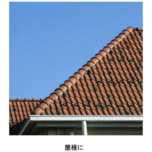 サンデーペイント｜SUNDAY PAINT 水性カラー屋根用 新銀黒 14L