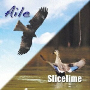 アドニス・スクウェア｜Adonis Square Slicelime/ Aile【CD】 【代金引換配送不可】