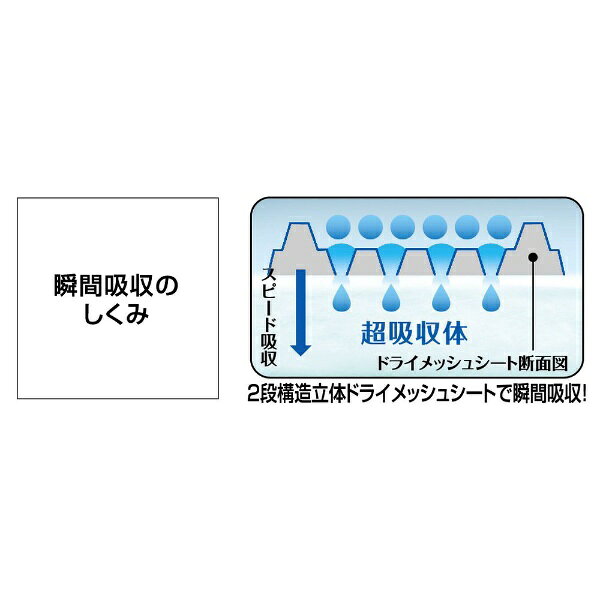 楽天ビック(ビックカメラ×楽天)のライオンペット｜LION PET 瞬乾ペットシート Salari（サラリ） ワイド24枚｜アングル3