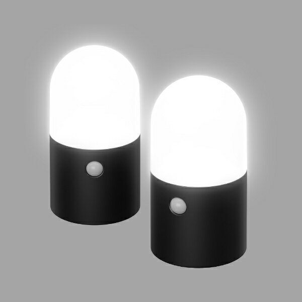 アイリスオーヤマ｜IRIS OHYAMA 乾電池式LEDガーデンセンサーライト　丸型　2個セット ブラック ZSLMN1MBKS2 [白色 /乾電池式]