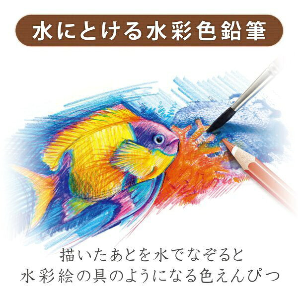 ステッドラー｜STAEDTLER 水彩色鉛筆 12色セット ノリスクラブ 144 10NC12P biccamera-12370012 楽天ビック(ビックカメラ×楽天) サンプル画像3