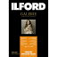 եɡILFORD եɥ꡼ե󥢡 ࡼѡ 270g/m2102x152 50 ILFORD GALERIE FineArt Smooth Pearl 432614[432614GFASP]