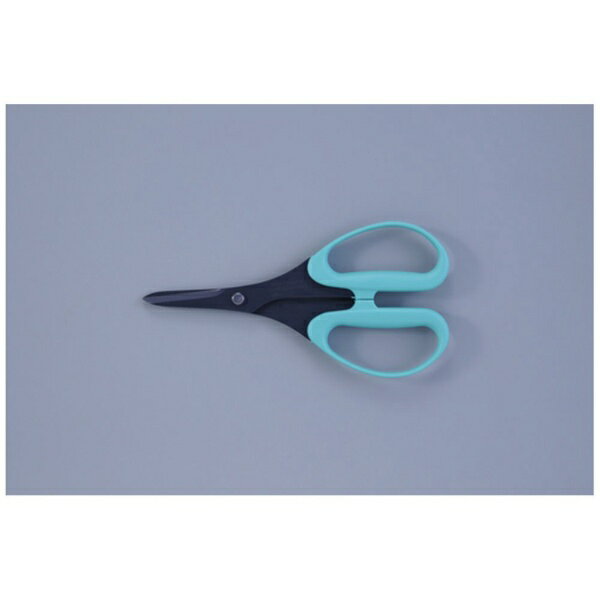 ӿʪHAYASHI CUTLERY ALLEXۥӡѤϤߡեǡܥ 15133