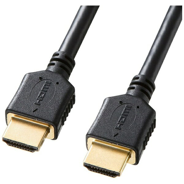 サンワサプライ｜SANWA SUPPLY HDMIケーブル ブラック KM-HD20-P20 [2m /HDMI⇔HDMI /イーサネット対応]