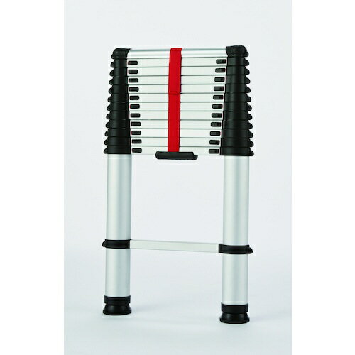 �ԥ������ݥ쥤������Pica �ԥ������̤Ϥ��� PTHS420J