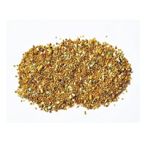 ���饿��ARATA ���֥�С��� �भ�¡�4kg�ˡ̥ڥåȥա��ɡ�