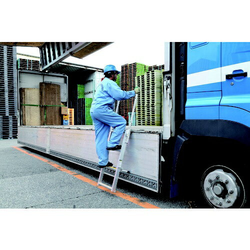 �拾���ѥ�åȡ�WAKOPALLET �拾�����ȥ�å����ߥ��ƥåס��ȥ�å����ƥå� WTS-AL