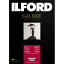 եɡILFORD ե ꡼ࡼѡ 310g/m2A4 /25ILFORD GALERIE Smooth Pearl 310 422353[422353꡼ࡼѡ]