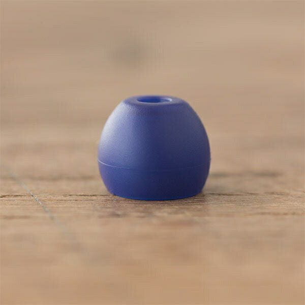 FINAL｜ファイナル イヤーピース L 3ペア Violet FI-EPEVIL4